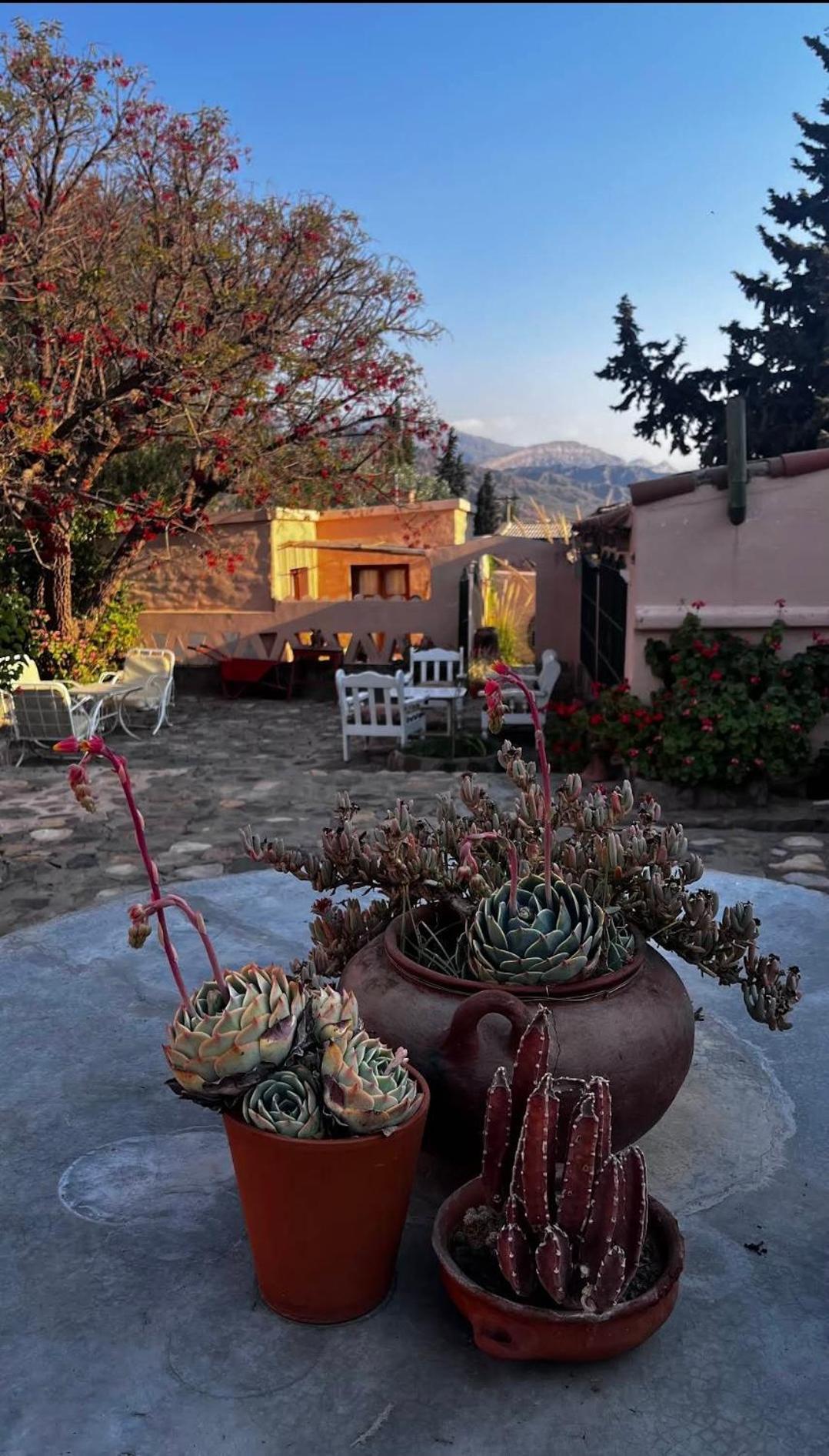 טיליקארה Los Arcabuceros Casa Hotel Boutique מראה חיצוני תמונה