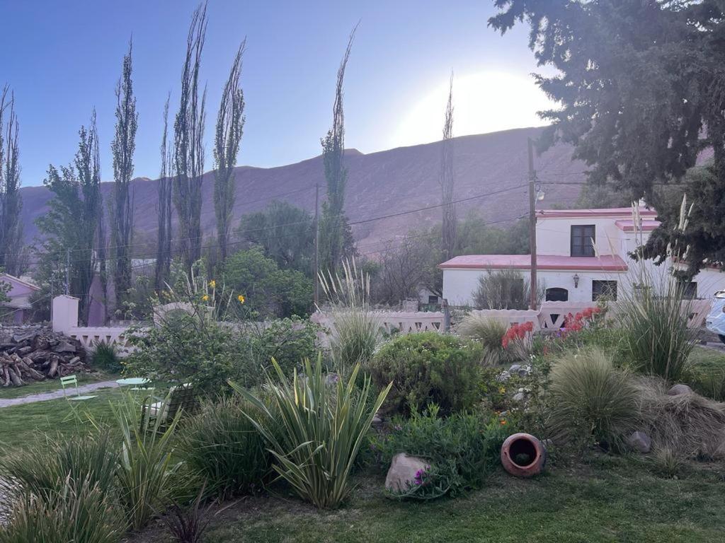טיליקארה Los Arcabuceros Casa Hotel Boutique מראה חיצוני תמונה